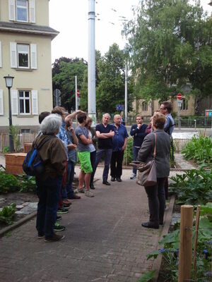 Kräuter und Gemüse vor der Haustür